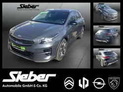Pentametal met. Gebraucht 2019 Kia XCeed Platinum Edition SUV | 19.290 € (Guter Preis)