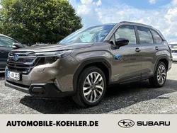 Braun Gebraucht 2025 Subaru Forester Platinum SUV | 44.800 € (Fairer Preis)