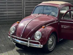 Rot Gebraucht 1969 VW Käfer | 13.880 €