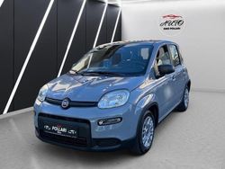 Grau Gebraucht 2023 Fiat Panda Kleinwagen | 8.800 € (Guter Preis)