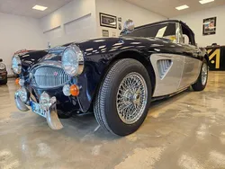 Blau Gebraucht 1967 Austin Healey 3000 MK III Cabrio | 66.000 €