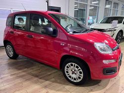 Rot Gebraucht 2018 Fiat Panda Easy Kleinwagen | 7.360 € (Fairer Preis)