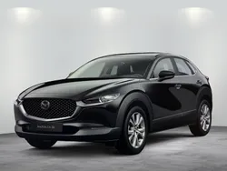 Neu 2025 Mazda CX-30 Homura-Line SUV | 30.440 €