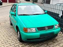 Grün Gebraucht 1999 VW Polo Kleinwagen | 1.900 € (Etwas zu teuer)