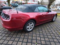 Rot Gebraucht 2014 Ford Mustang Cabrio | 9.900 €