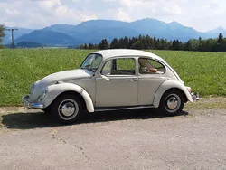 VW Käfer