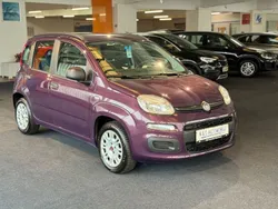 Colore esterno (melanzana mica Gebraucht 2014 Fiat Panda Pop Kleinwagen | 7.350 € (Etwas zu teuer)
