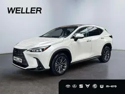 Weiß Neu 2025 Lexus NX350h Executive Line SUV | 54.290 € (Superpreis)