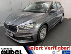Grau Neu 2025 Skoda Fabia Selection Kleinwagen | 21.850 € (Fairer Preis)