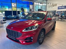 Rot Gebraucht 2022 Ford Kuga ST-Line X SUV | 23.990 € (Guter Preis)