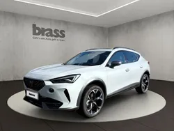 "nevada" weiss Gebraucht 2023 Cupra Formentor SUV | 29.950 € (Fairer Preis)