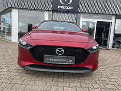 Rot Gebraucht 2019 Mazda 3 Limousine | 16.900 € (Etwas zu teuer)