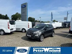 Metallic) (grau Gebraucht 2019 Ford Ecosport Titanium SUV | 14.990 € (Etwas zu teuer)