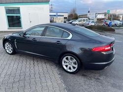 Grau Gebraucht 2011 Jaguar XF Luxury Limousine | 6.500 € (Superpreis)