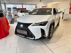 Weiss Neu 2025 Lexus UX SUV | 39.390 € (Fairer Preis)