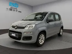 Grau Gebraucht 2018 Fiat Panda Lounge Kleinwagen | 7.990 € (Fairer Preis)