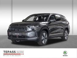 Grau Neu 2025 Skoda Kodiaq Selection SUV | 49.999 € (Teuer)