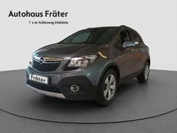 Grau Gebraucht 2015 Opel Mokka Edition SUV | 12.480 € (Teuer)
