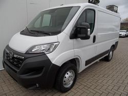 Weiß Gebraucht 2024 Opel Movano Van | 24.080 € (Superpreis)