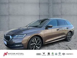 Braun Gebraucht 2021 Skoda Octavia Style Kombi | 22.960 € (Guter Preis)