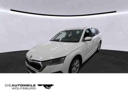 Candyweiss Gebraucht 2023 Skoda Octavia Style Kombi | 23.550 € (Guter Preis)