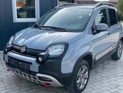 Grau Gebraucht 2018 Fiat Panda Cross Cross Kleinwagen | 12.999 € (Fairer Preis)