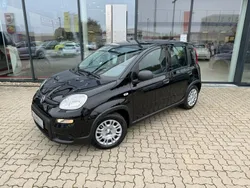 Schwarz Neu 2024 Fiat Panda Kleinwagen | 16.490 €