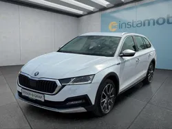 Weiß Gebraucht 2022 Skoda Octavia Scout Kombi | 27.699 € (Guter Preis)