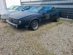 Schwarz Gebraucht 1987 Oldsmobile Toronado Coupé | 1.199 €