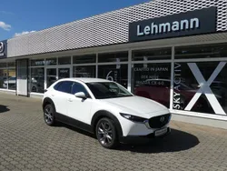 Gebraucht 2020 Mazda CX-30 SUV | 21.490 € (Fairer Preis)