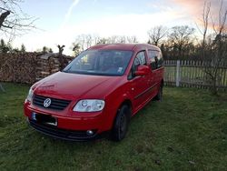 Rot Gebraucht 2009 VW Caddy Maxi Van / Kleinbus | 5.990 € (Superpreis)