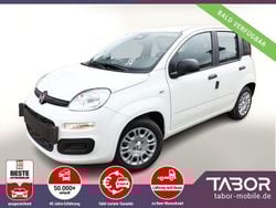 Weiß Neu 2025 Fiat Panda Kleinwagen | 13.645 € (Guter Preis)