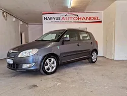Grau Gebraucht 2011 Skoda Fabia GreenLine Kleinwagen | 5.990 € (Etwas zu teuer)