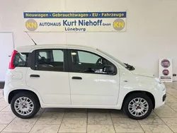 Weiß Gebraucht 2017 Fiat Panda Easy Kleinwagen | 9.940 € (Etwas zu teuer)