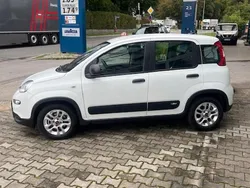 Weiß Gebraucht 2024 Fiat Panda Kleinwagen | 13.990 € (Etwas zu teuer)