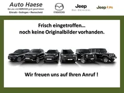Grau Neu 2025 Jeep Wrangler Unlimited Rubicon SUV | 64.490 € (Fairer Preis)