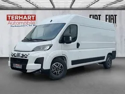 Weiss (pastell)) (weiss Neu 2024 Fiat Ducato Van | 45.205 € (Etwas zu teuer)