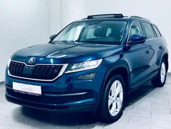 Blau Gebraucht 2020 Skoda Kodiaq Style SUV | 27.880 € (Etwas zu teuer)