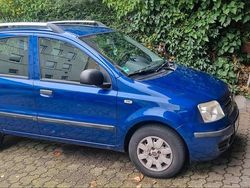 Blau Gebraucht 2010 Fiat Panda Kleinwagen | 3.100 € (Teuer)
