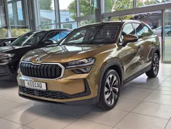Gold Gebraucht 2024 Skoda Kodiaq Selection SUV | 52.950 € (Teuer)