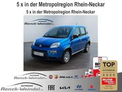 Blau Neu 2025 Fiat Panda Kleinwagen | 15.989 € (Fairer Preis)