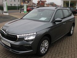 Grau Gebraucht 2024 Skoda Kamiq Selection SUV | 25.990 € (Fairer Preis)