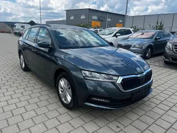 Grau Gebraucht 2021 Skoda Octavia Kombi | 14.999 € (Fairer Preis)