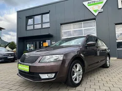 Braun Gebraucht 2015 Skoda Octavia Ambition Kombi | 12.990 € (Fairer Preis)
