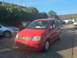 Rot Gebraucht 2006 Fiat Panda Dynamic Kleinwagen | 2.500 € (Fairer Preis)
