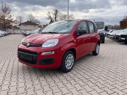 Rot Neu 2025 Fiat Panda Icon Limousine | 17.990 € (Teuer)