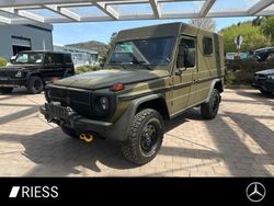 Grün Gebraucht 1990 Mercedes G230 SUV | 58.400 €
