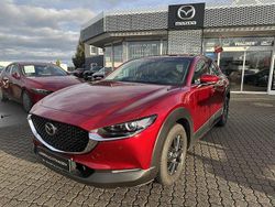 Soul red crystal m Gebraucht 2019 Mazda CX-30 Selection SUV | 22.980 € (Fairer Preis)