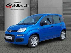 Blau Neu 2025 Fiat Panda Kleinwagen | 14.990 € (Fairer Preis)