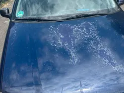Blau Gebraucht 2001 VW Polo Kleinwagen | 200 € (Superpreis)